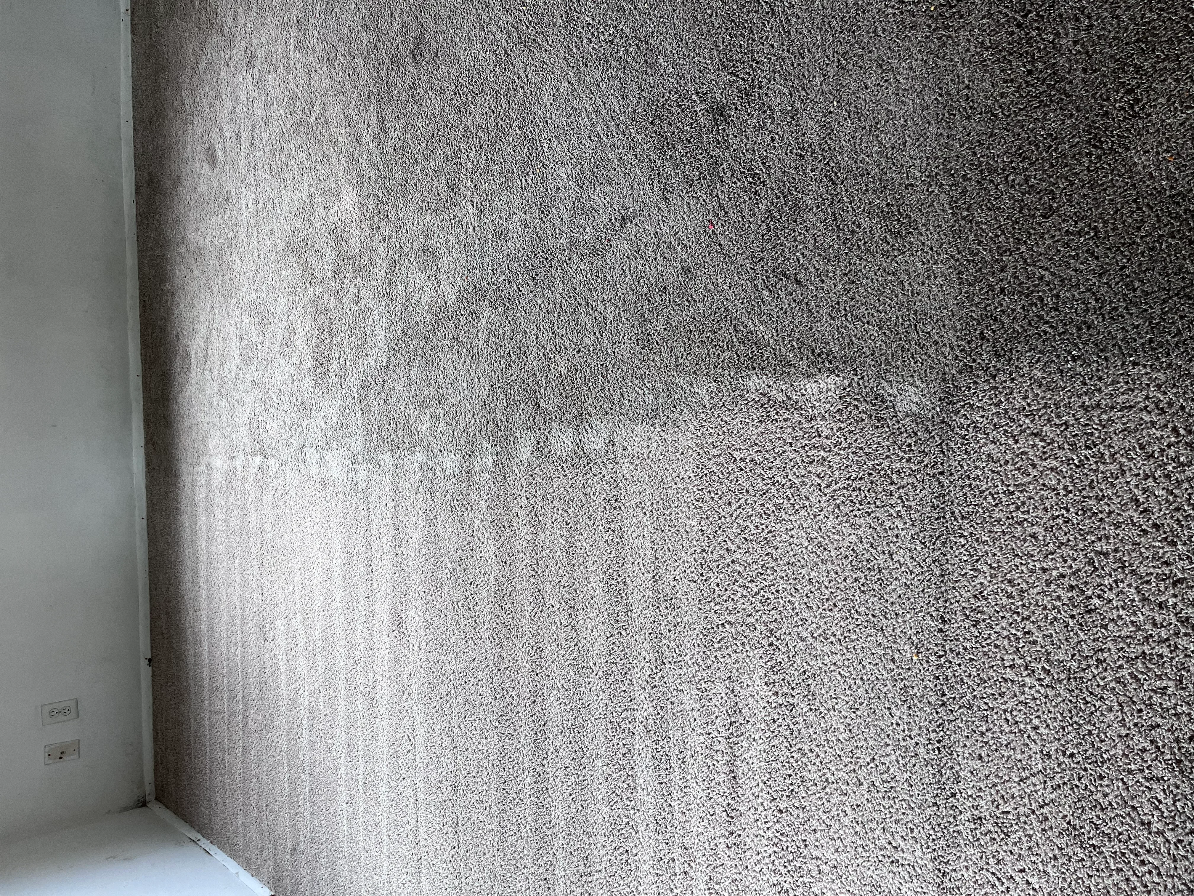 Gray textured carpet after professional cleaning and stain removal treatment