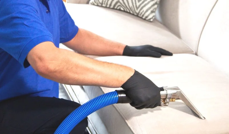 Technician using blue extraction hose on white upholstered sofa with black gloves