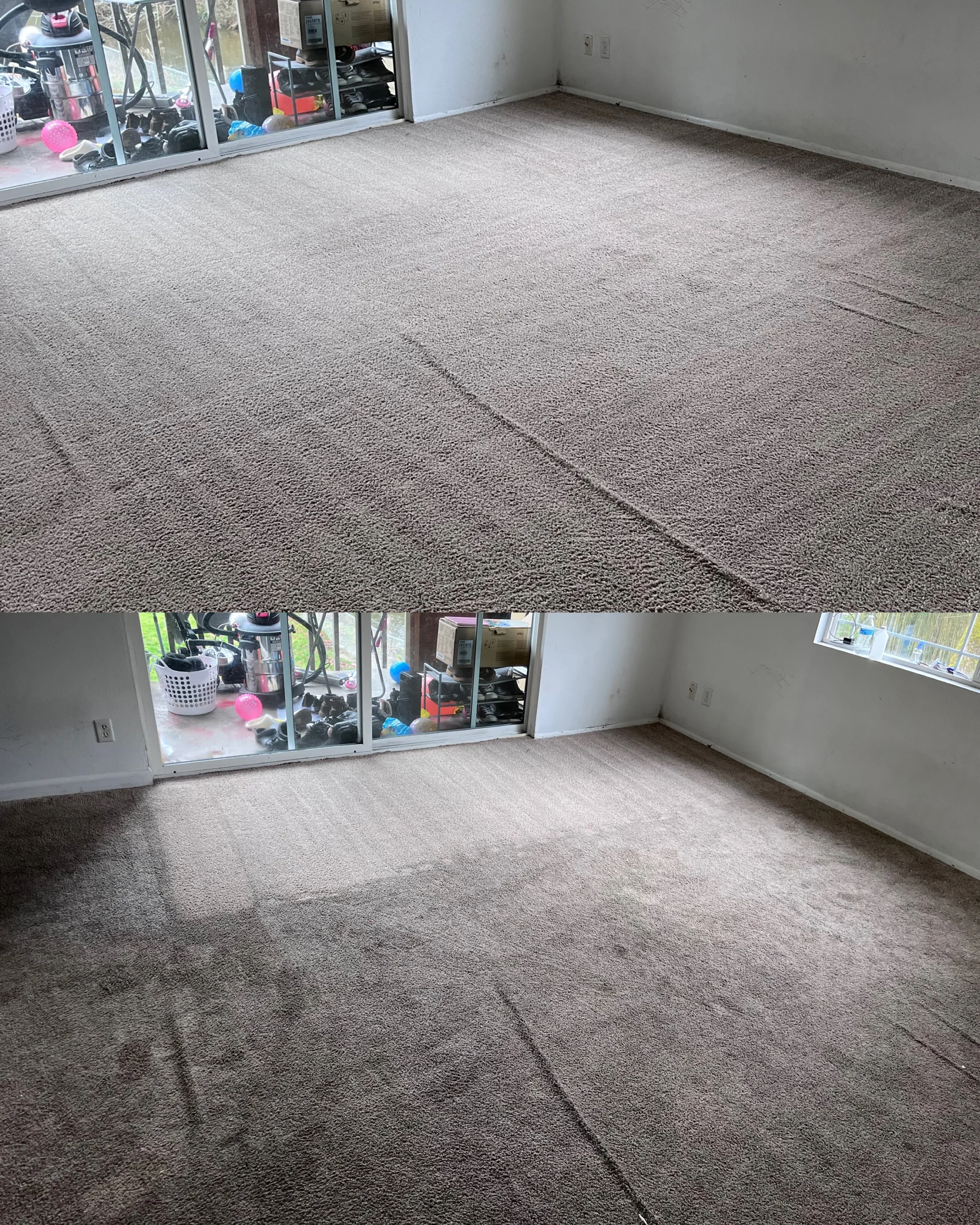 Clean beige carpet in garage with visible seam lines and restored texture