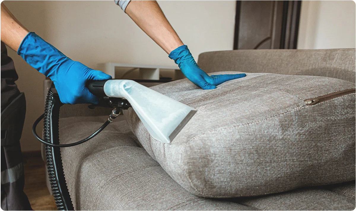 Technician steam cleaning gray upholstered sofa with extraction equipment and blue gloves